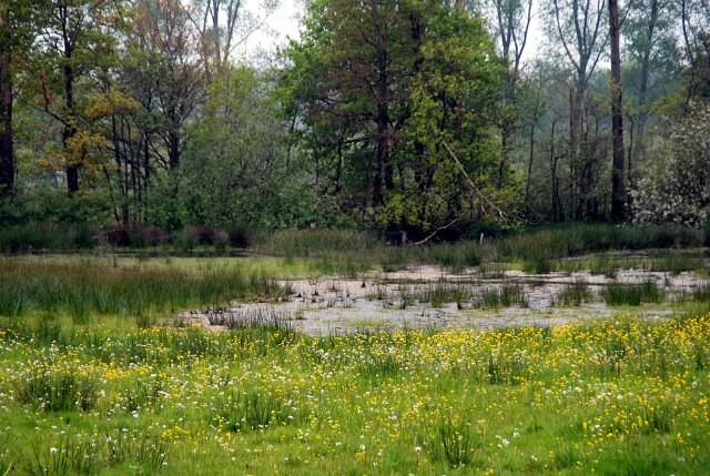 landgoed zevenberg_17